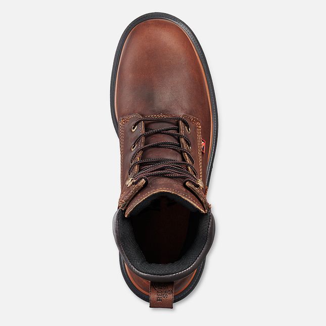 Red Wing Dynaforce® 8-inch Impermeabili Stivali da Lavoro Uomo Marroni | 1536-VWNAE