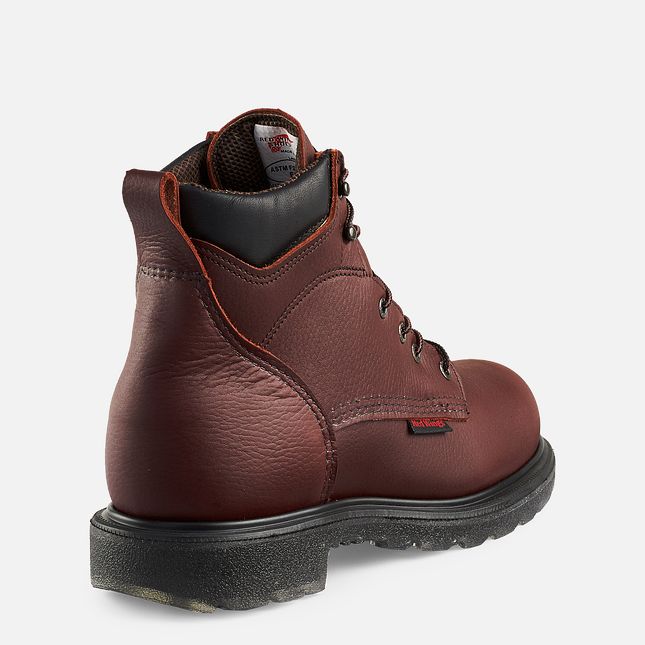 Red Wing Supersole® 2.0 6-inch Impermeabili Stivali da Lavoro Uomo Marroni | 1246-VUPMH