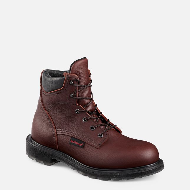 Red Wing Supersole® 2.0 6-inch Scarpe Antinfortunistiche Uomo Marroni | 6710-YUOCV