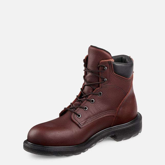 Red Wing Supersole® 2.0 6-inch Stivali da Lavoro Uomo Marroni | 1582-NVMXI