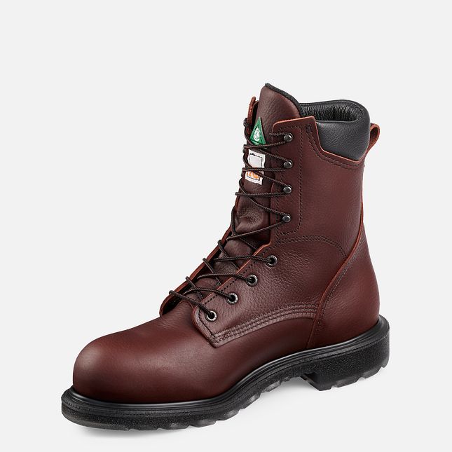 Red Wing Supersole® 2.0 8-inch CSA Scarpe Lavoro Uomo Marroni | 8016-FKGJR