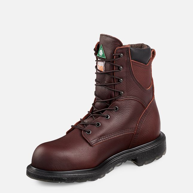 Red Wing Supersole® 2.0 8-inch Insulated CSA Scarpe Impermeabili Uomo Marroni | 3528-LVIFU