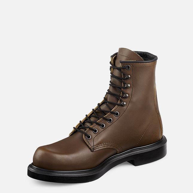 Red Wing Supersole® 8-inch Stivali da Lavoro Uomo Marroni | 7591-KHOYP